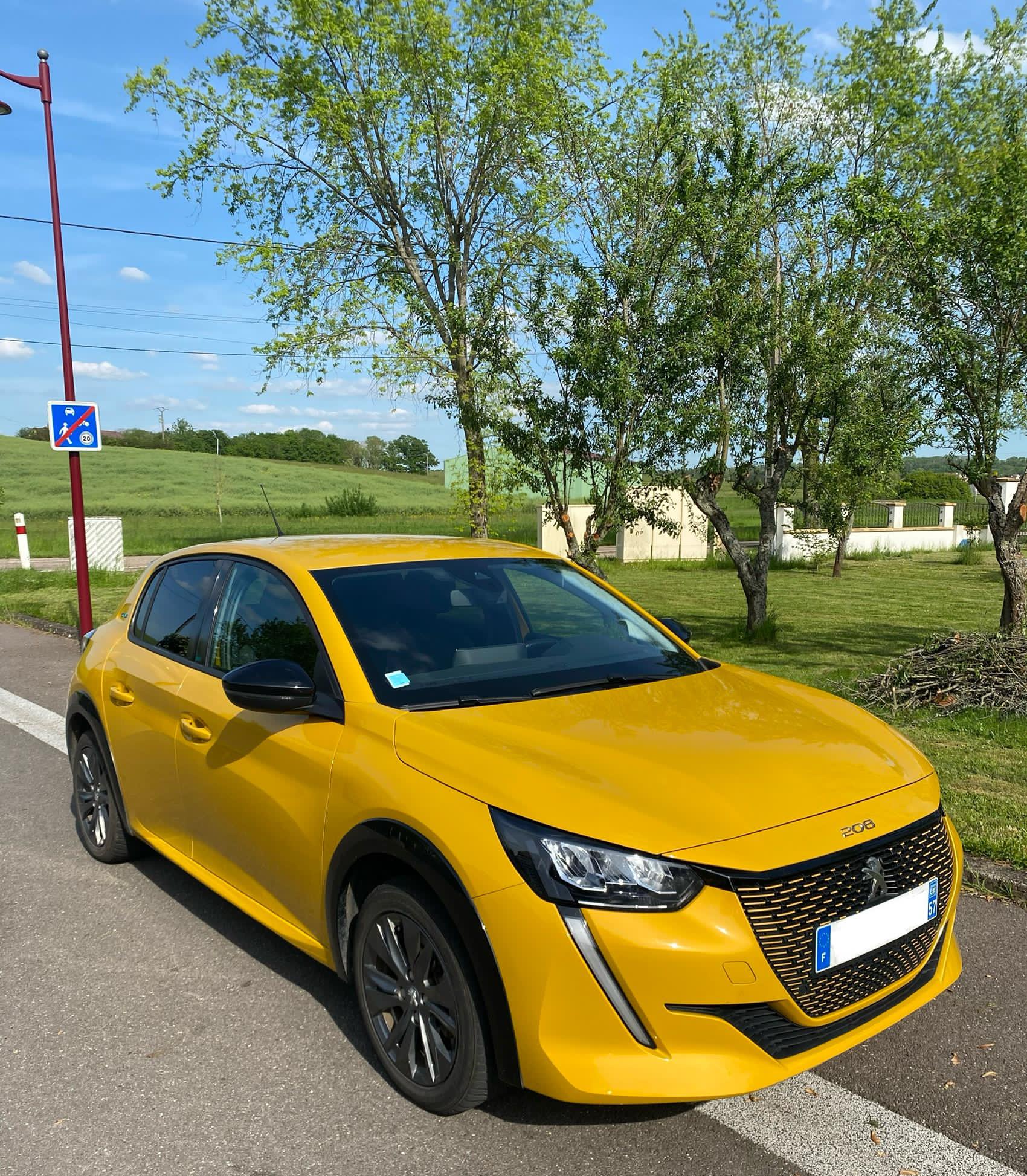 
								PEUGEOT 208 II (2) ELECTRIQUE 50 KWH 136 E-STYLE full									